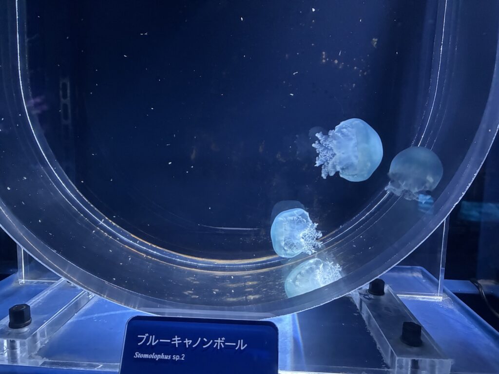 現在、１年生は都内での校外学習中です